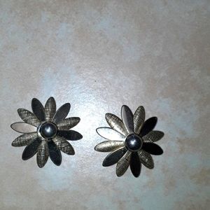 Vintage  Sarahon Coventry Earnings